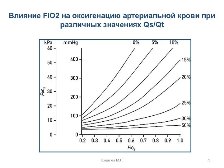 Влияние FiO2 на оксигенацию артериальной крови при различных значениях Qs/Qt Ковалев М.Г.