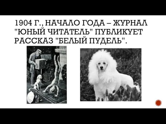 1904 Г., НАЧАЛО ГОДА – ЖУРНАЛ "ЮНЫЙ ЧИТАТЕЛЬ" ПУБЛИКУЕТ РАССКАЗ "БЕЛЫЙ ПУДЕЛЬ".