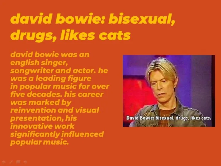 david bowie: bisexual, drugs, likes cats david bowie was an english singer,