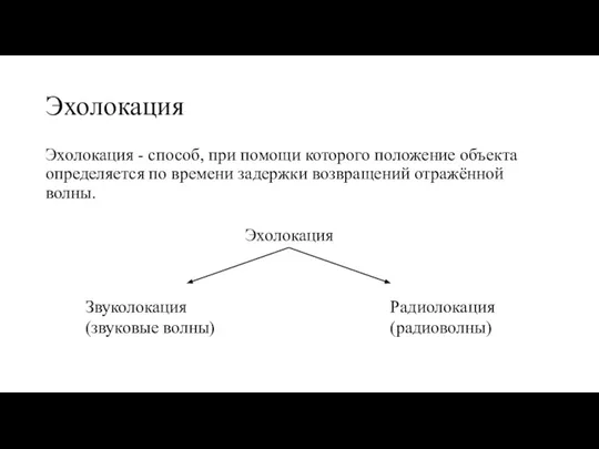 Эхолокация Эхолокация - способ, при помощи которого положение объекта определяется по времени