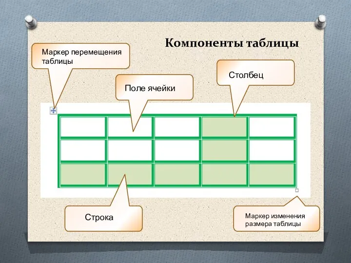 Компоненты таблицы Столбец Строка Поле ячейки Маркер перемещения таблицы Маркер изменения размера таблицы