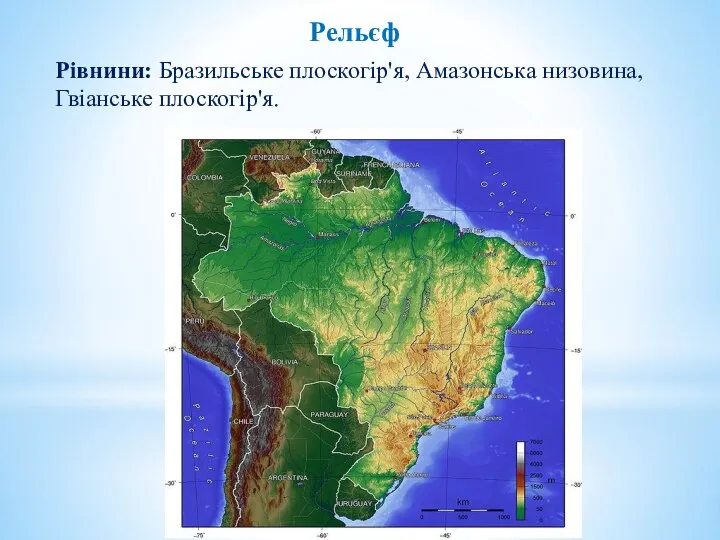 Рельєф Рівнини: Бразильське плоскогір'я, Амазонська низовина, Гвіанське плоскогір'я.