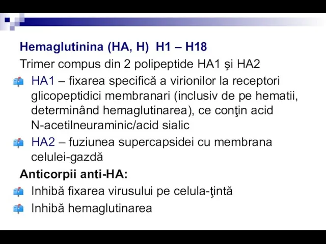 Hemaglutinina (HA, H) H1 – H18 Trimer compus din 2 polipeptide HA1