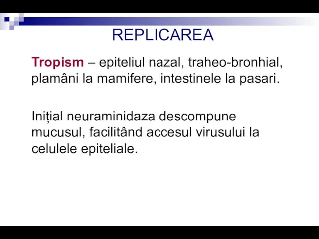 REPLICAREA Tropism – epiteliul nazal, traheo-bronhial, plamâni la mamifere, intestinele la pasari.