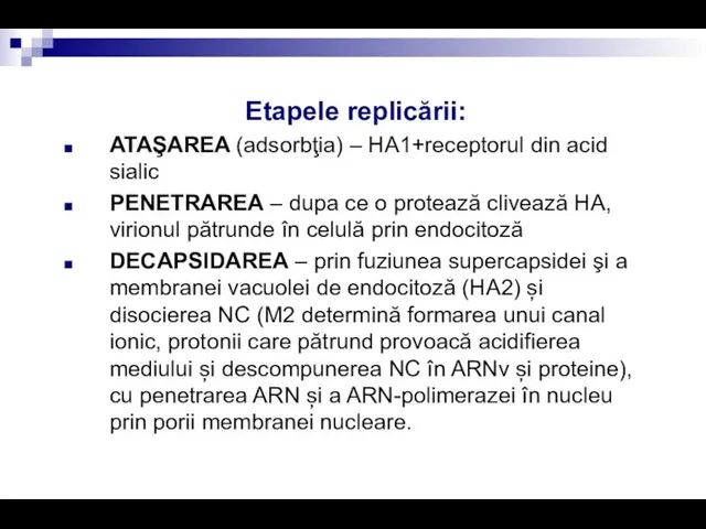 Etapele replicării: ATAŞAREA (adsorbţia) – HA1+receptorul din acid sialic PENETRAREA – dupa