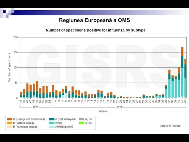 Regiunea Europeană a OMS