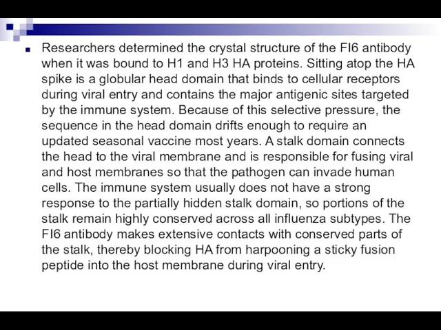 Researchers determined the crystal structure of the FI6 antibody when it was