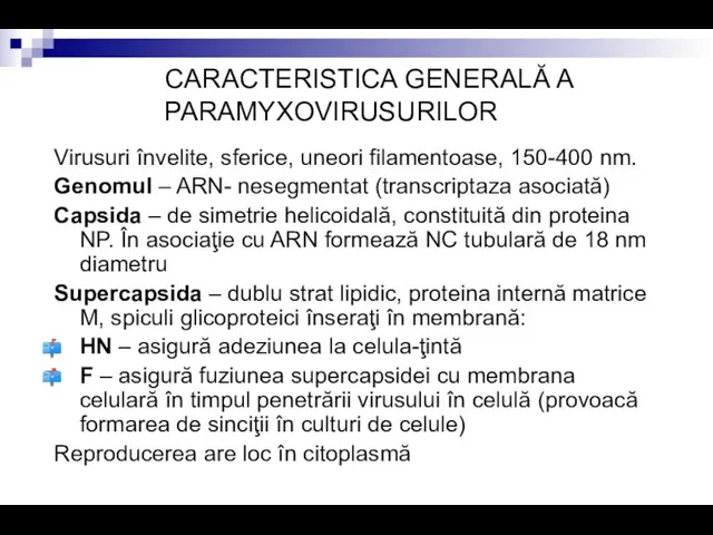 CARACTERISTICA GENERALĂ A PARAMYXOVIRUSURILOR Virusuri învelite, sferice, uneori filamentoase, 150-400 nm. Genomul