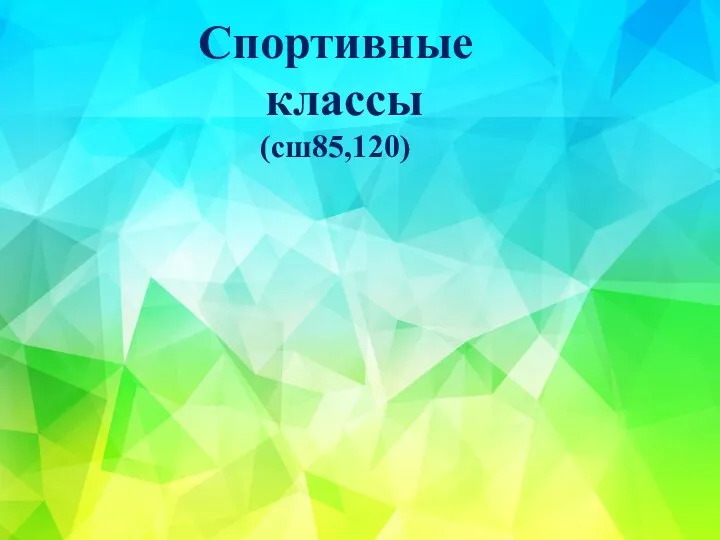 Спортивные классы (сш85,120)