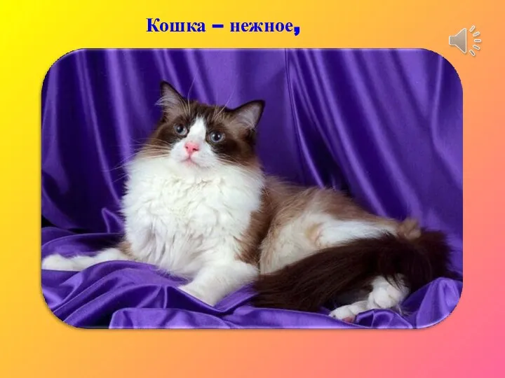 Кошка – нежное,