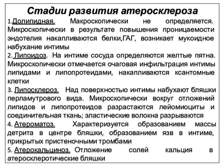 Стадии развития атеросклероза 1.Долипидная. Макроскопически не определяется. Микроскопически в результате повышения проницаемости