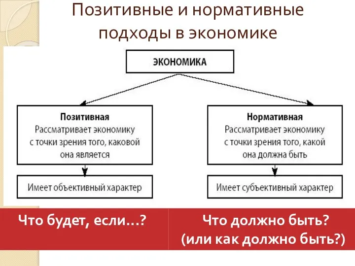 Позитивные и нормативные подходы в экономике