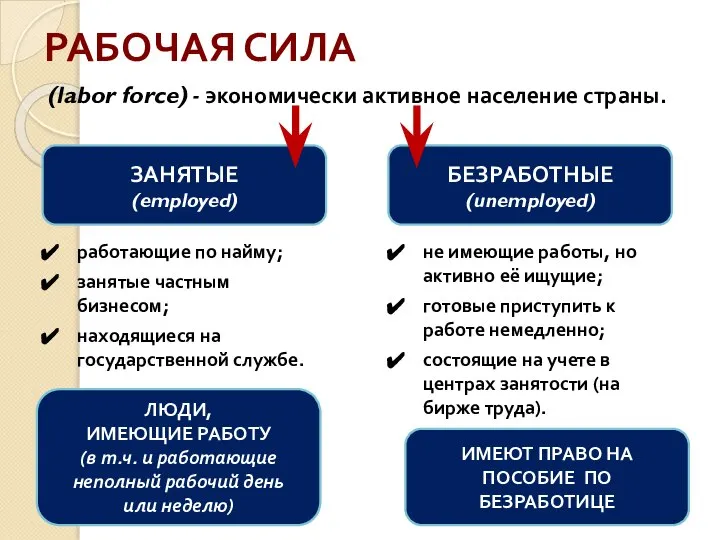 РАБОЧАЯ СИЛА (labor force) - экономически активное население страны. ЗАНЯТЫЕ (employed) БЕЗРАБОТНЫЕ