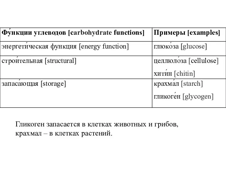 Гликоген запасается в клетках животных и грибов, крахмал – в клетках растений.