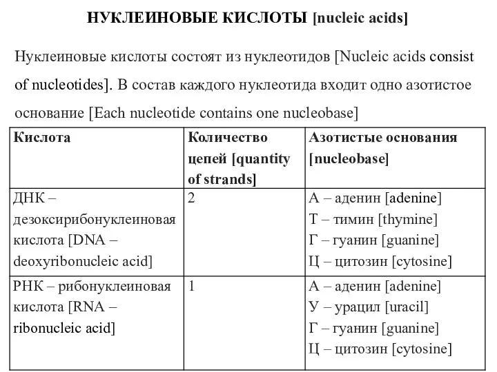 НУКЛЕИНОВЫЕ КИСЛОТЫ [nucleic acids] Нуклеиновые кислоты состоят из нуклеотидов [Nucleic acids consist