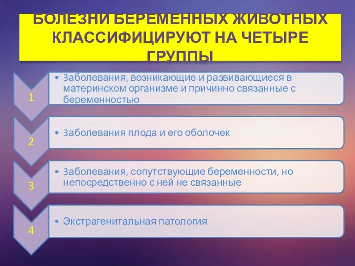 БОЛЕЗНИ БЕРЕМЕННЫХ ЖИВОТНЫХ КЛАССИФИЦИРУЮТ НА ЧЕТЫРЕ ГРУППЫ