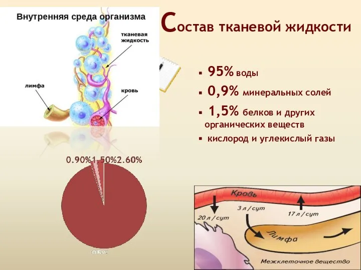 Состав тканевой жидкости 95% воды 0,9% минеральных солей 1,5% белков и других