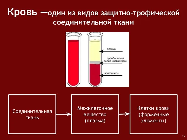 Кровь ―один из видов защитно-трофической соединительной ткани Соединительная ткань Межклеточное вещество (плазма) Клетки крови (форменные элементы)