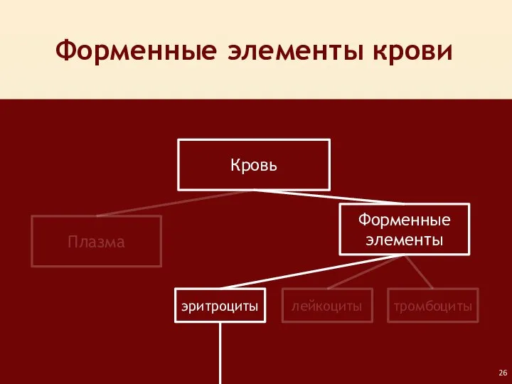 Форменные элементы крови Кровь Плазма Форменные элементы лейкоциты тромбоциты эритроциты