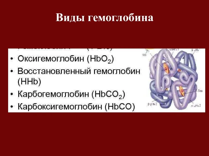 Виды гемоглобина