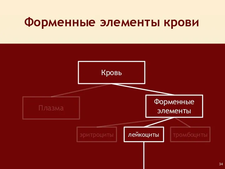 Форменные элементы крови Кровь Плазма Форменные элементы лейкоциты тромбоциты эритроциты