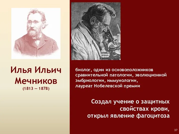 Илья Ильич Мечников (1813 — 1878) биолог, один из основоположников сравнительной патологии,