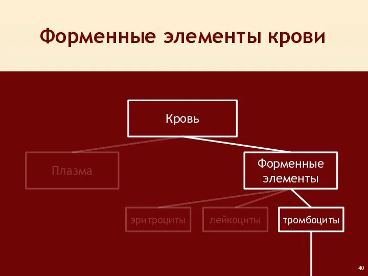 Форменные элементы крови Кровь Плазма Форменные элементы лейкоциты тромбоциты эритроциты