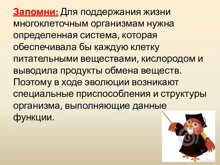 Запомни: Для поддержания жизни многоклеточным организмам нужна определенная система, которая обеспечивала бы