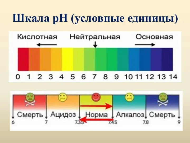 Шкала рН (условные единицы)