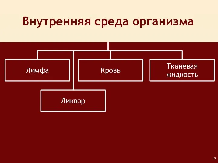 Внутренняя среда организма Лимфа Кровь Тканевая жидкость Ликвор