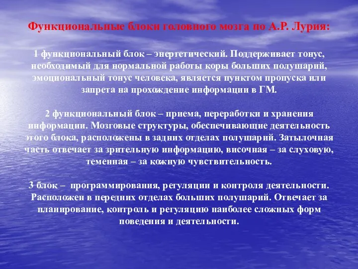 Функциональные блоки головного мозга по А.Р. Лурия: 1 функциональный блок – энергетический.