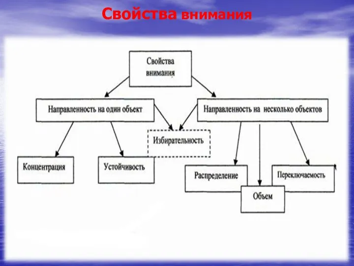 Свойства внимания