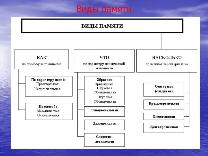 Виды памяти