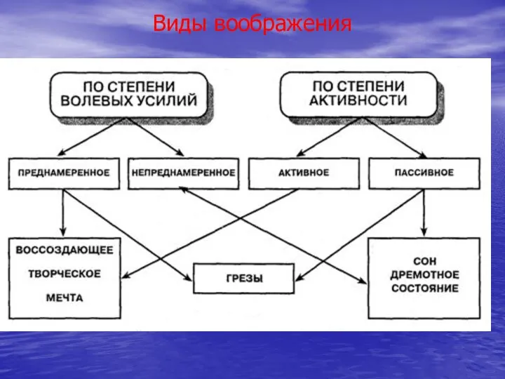 Виды воображения