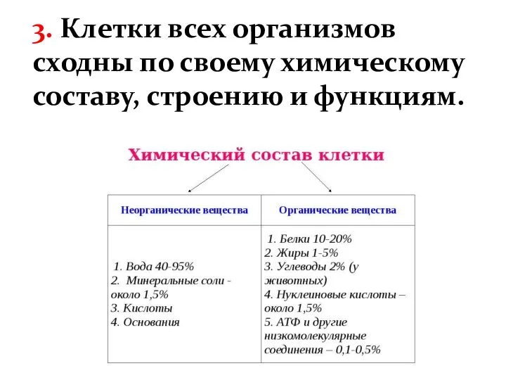 3. Клетки всех организмов сходны по своему химическому составу, строению и функциям.