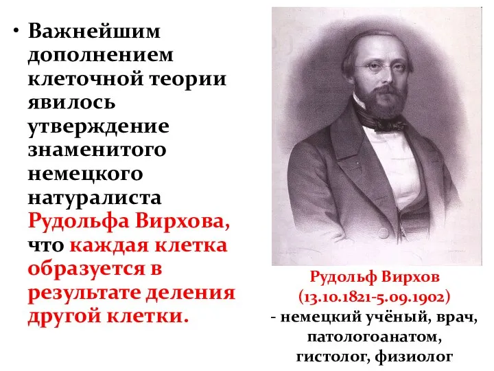 Важнейшим дополнением клеточной теории явилось утверждение знаменитого немецкого натуралиста Рудольфа Вирхова, что