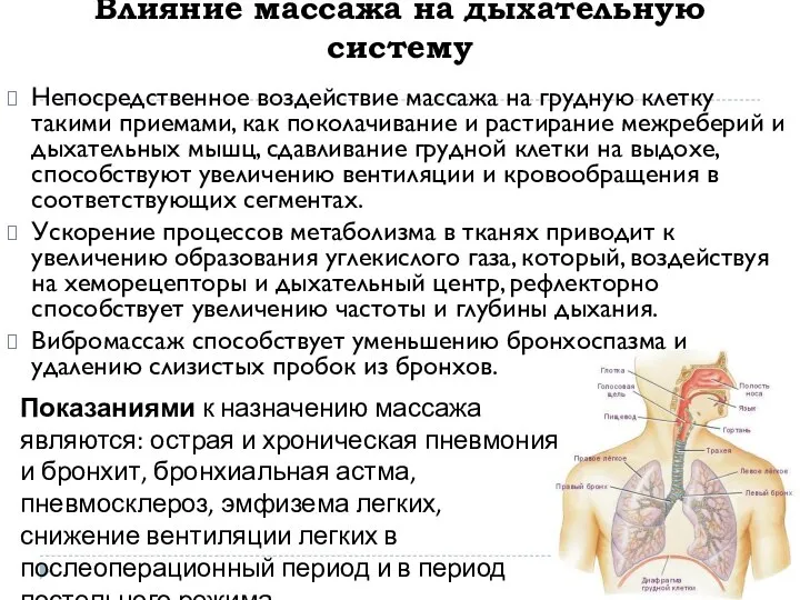 Влияние массажа на дыхательную систему Непосредственное воздействие массажа на грудную клетку такими