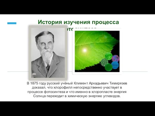 В 1875 году русский учёный Климент Аркадьевич Тимирязев доказал, что хлорофилл непосредственно