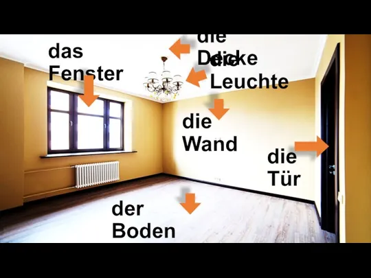 die Decke die Wand der Boden das Fenster die Tür die Leuchte