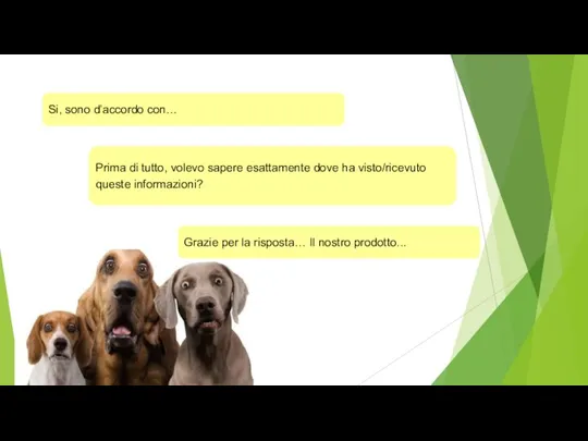 Si, sono d’accordo con… Prima di tutto, volevo sapere esattamente dove ha