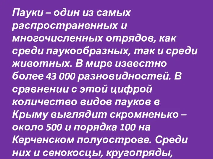 Пауки – один из самых распространенных и многочисленных отрядов, как среди паукообразных,