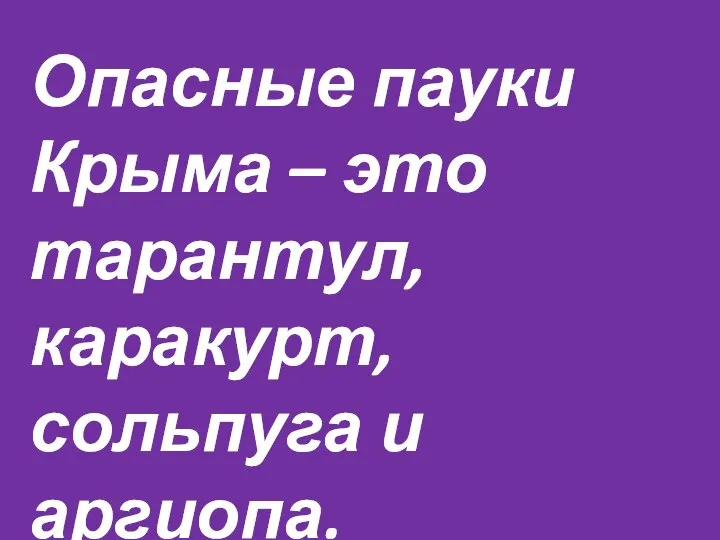 Опасные пауки Крыма – это тарантул, каракурт, сольпуга и аргиопа.