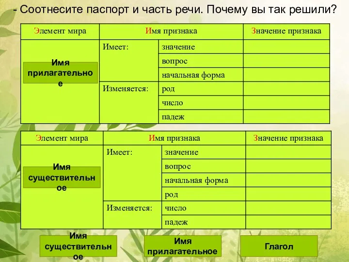 - Соотнесите паспорт и часть речи. Почему вы так решили? Имя существительное