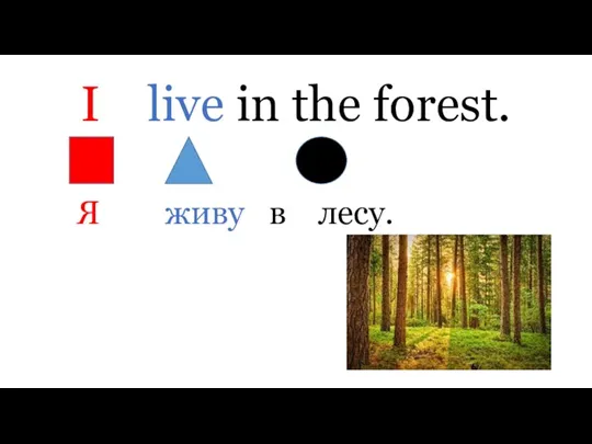I live in the forest. Я живу в лесу.