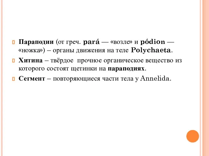 Параподии (от греч. pará — «возле» и pódion — «ножка») – органы