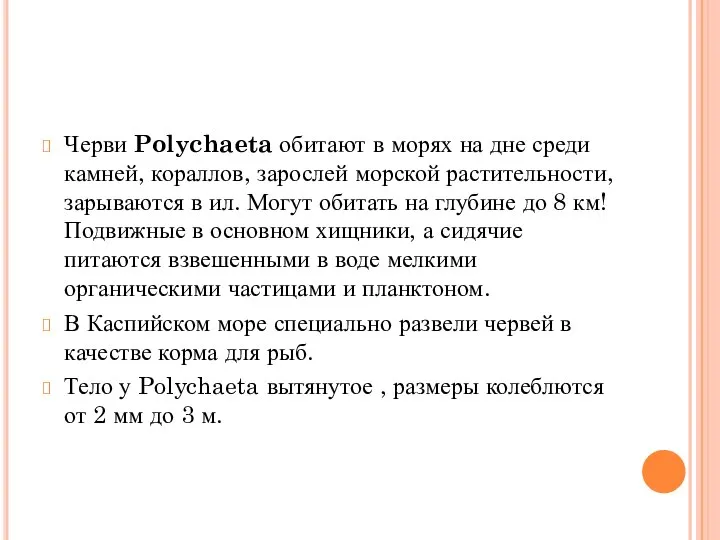 Черви Polychaeta обитают в морях на дне среди камней, кораллов, зарослей морской