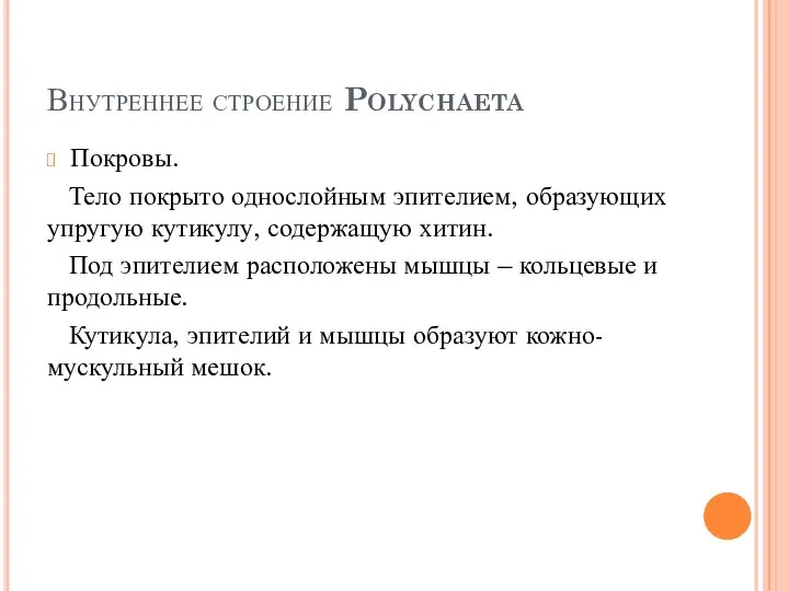 Внутреннее строение Polychaeta Покровы. Тело покрыто однослойным эпителием, образующих упругую кутикулу, содержащую