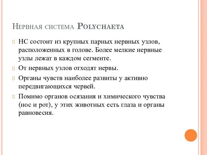 Нервная система Polychaeta НС состоит из крупных парных нервных узлов, расположенных в