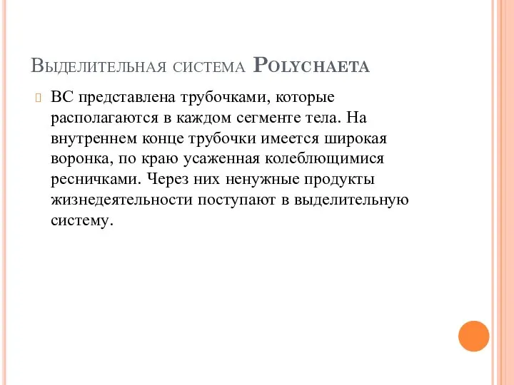 Выделительная система Polychaeta ВС представлена трубочками, которые располагаются в каждом сегменте тела.