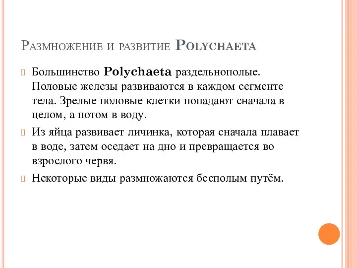 Размножение и развитие Polychaeta Большинство Polychaeta раздельнополые. Половые железы развиваются в каждом